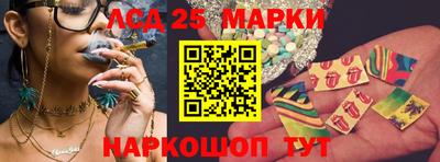 гидропоника Партизанск