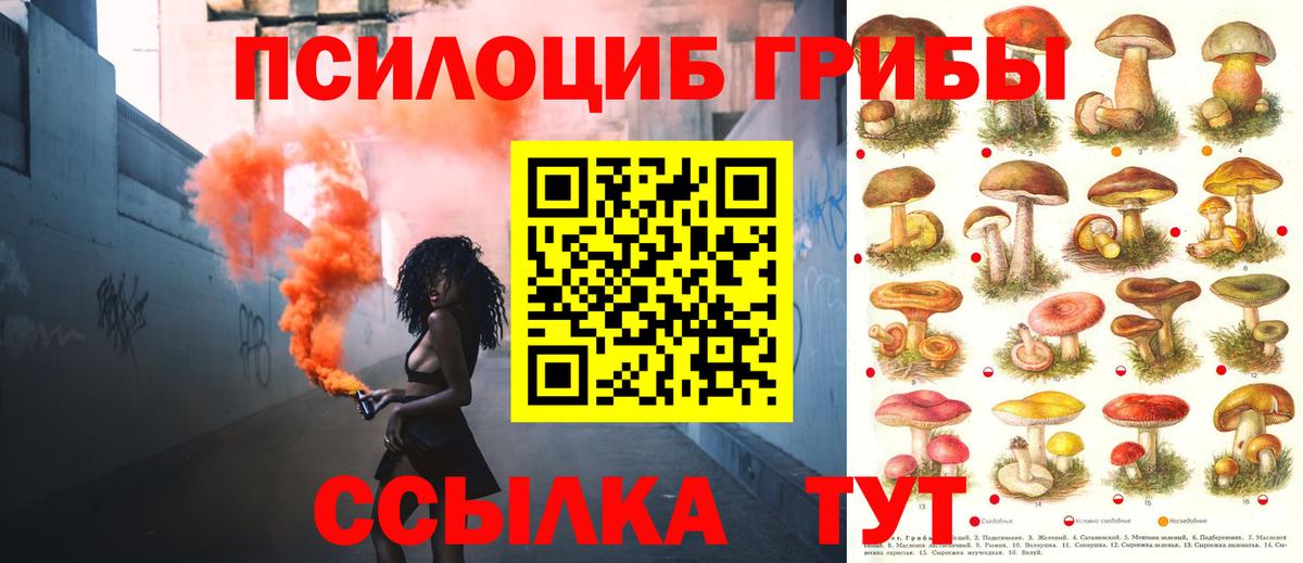 цены   Галлюциногенные грибы Psilocybine cubensis  Вход с VPN  Тобольск 