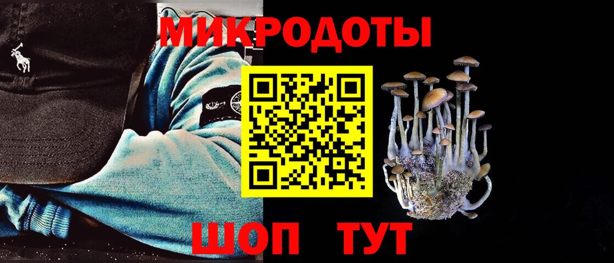 Галлюциногенные грибы Psilocybe Тобольск